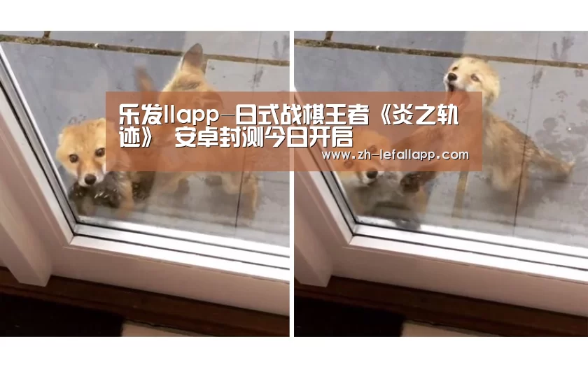 乐发llapp