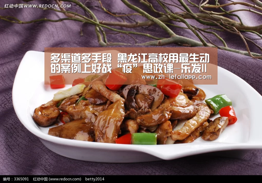 多渠道多手段 黑龙江高校用最生动的案例上好战“疫”思政课-乐发llapp(图2) 乐发llapp