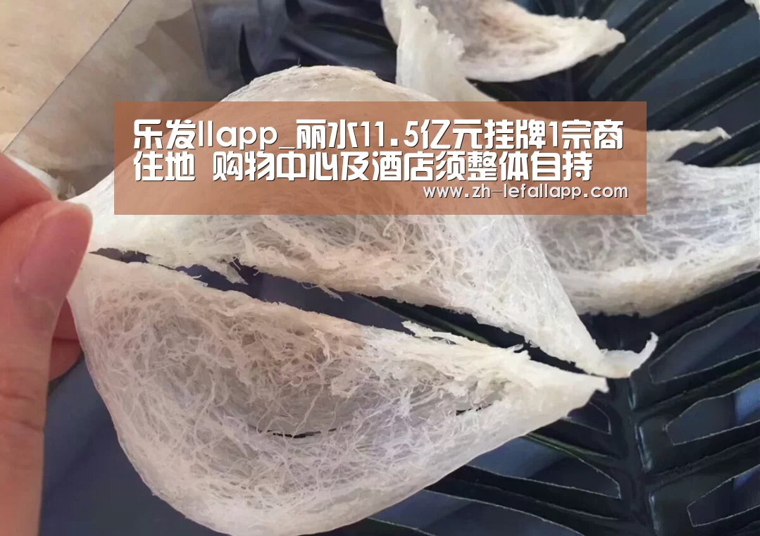 乐发llapp_丽水11.5亿元挂牌1宗商住地 购物中心及酒店须整体自持(图1) 乐发llapp