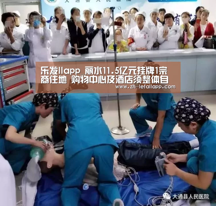 乐发llapp_丽水11.5亿元挂牌1宗商住地 购物中心及酒店须整体自持(图4) 乐发llapp