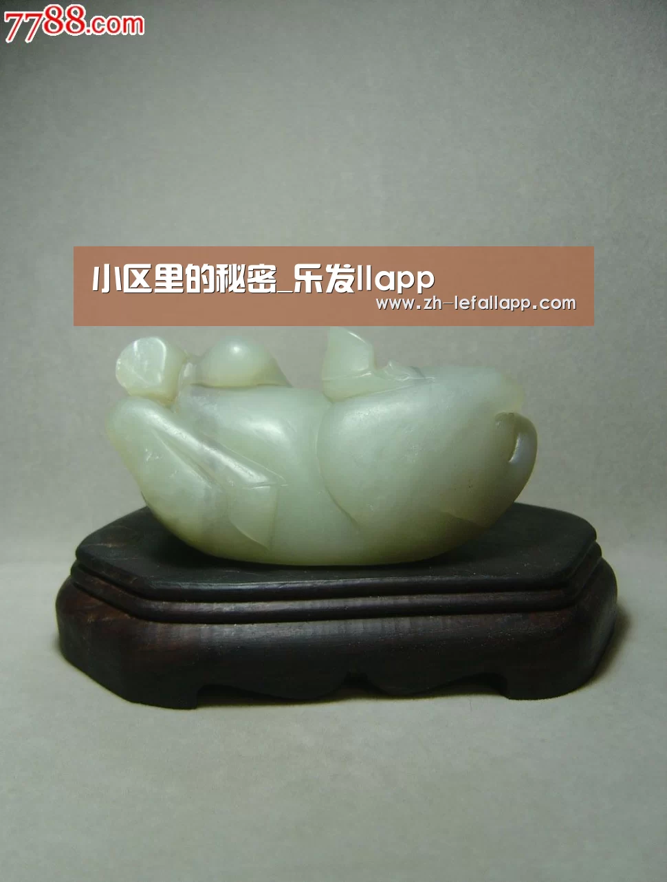 小区里的秘密_乐发llapp(图1) 乐发llapp