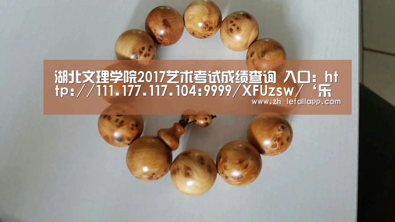 湖北文理学院2017艺术考试成绩查询 入口:http://111.177.117.104:9999/XFUzsw/‘乐发llapp’(图3) 乐发llapp