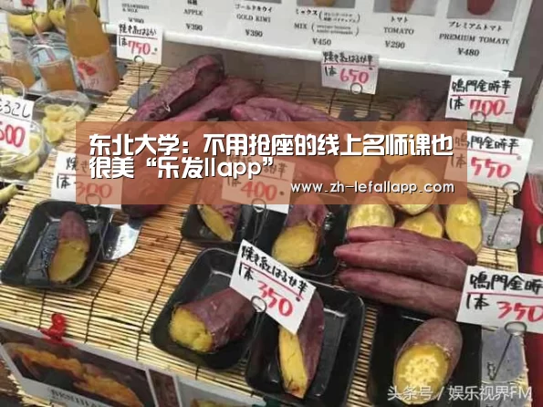 东北大学:不用抢座的线上名师课也很美“乐发llapp”(图2) 乐发llapp