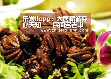 乐发llapp